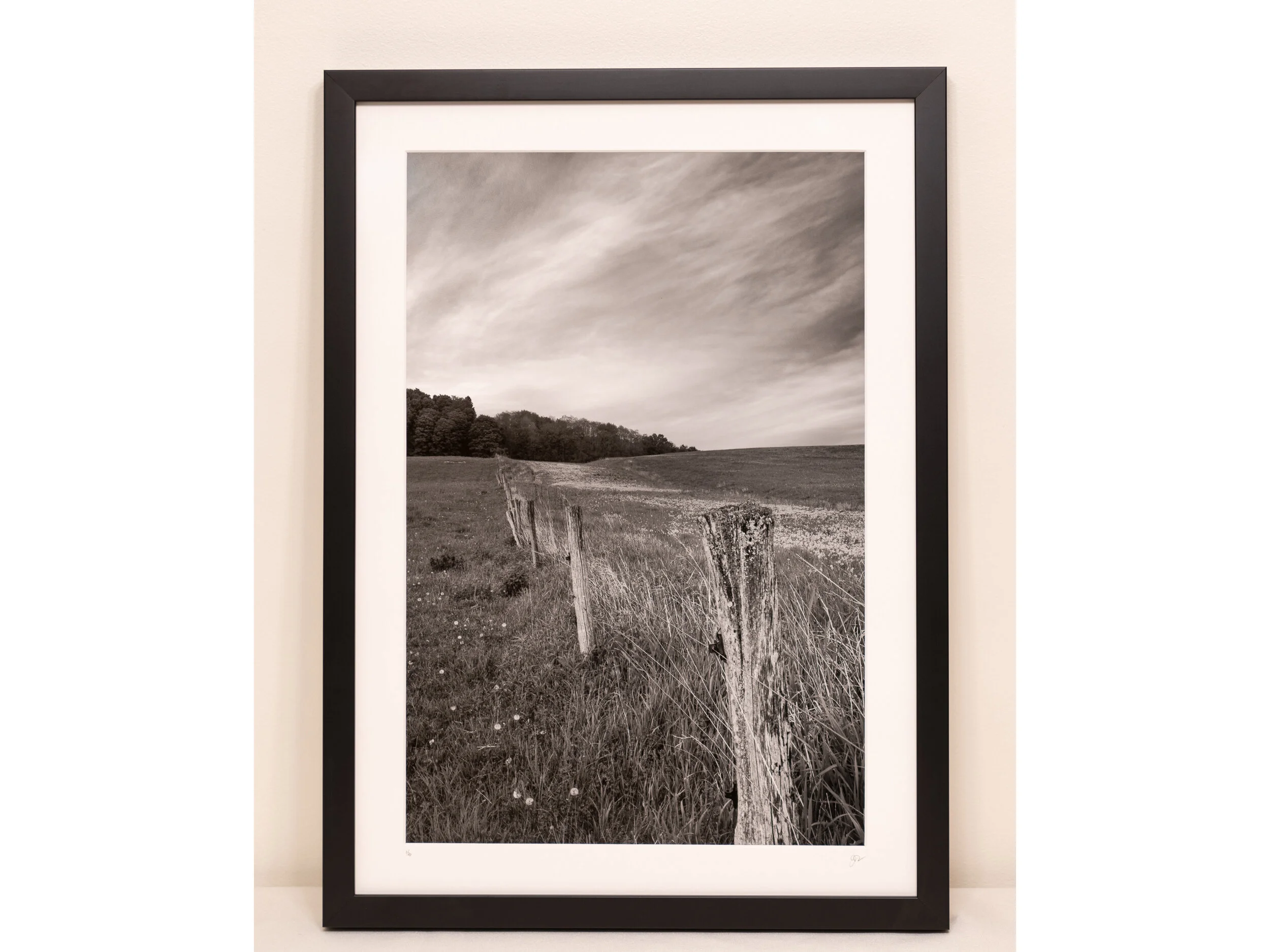 "Dandelion skies."