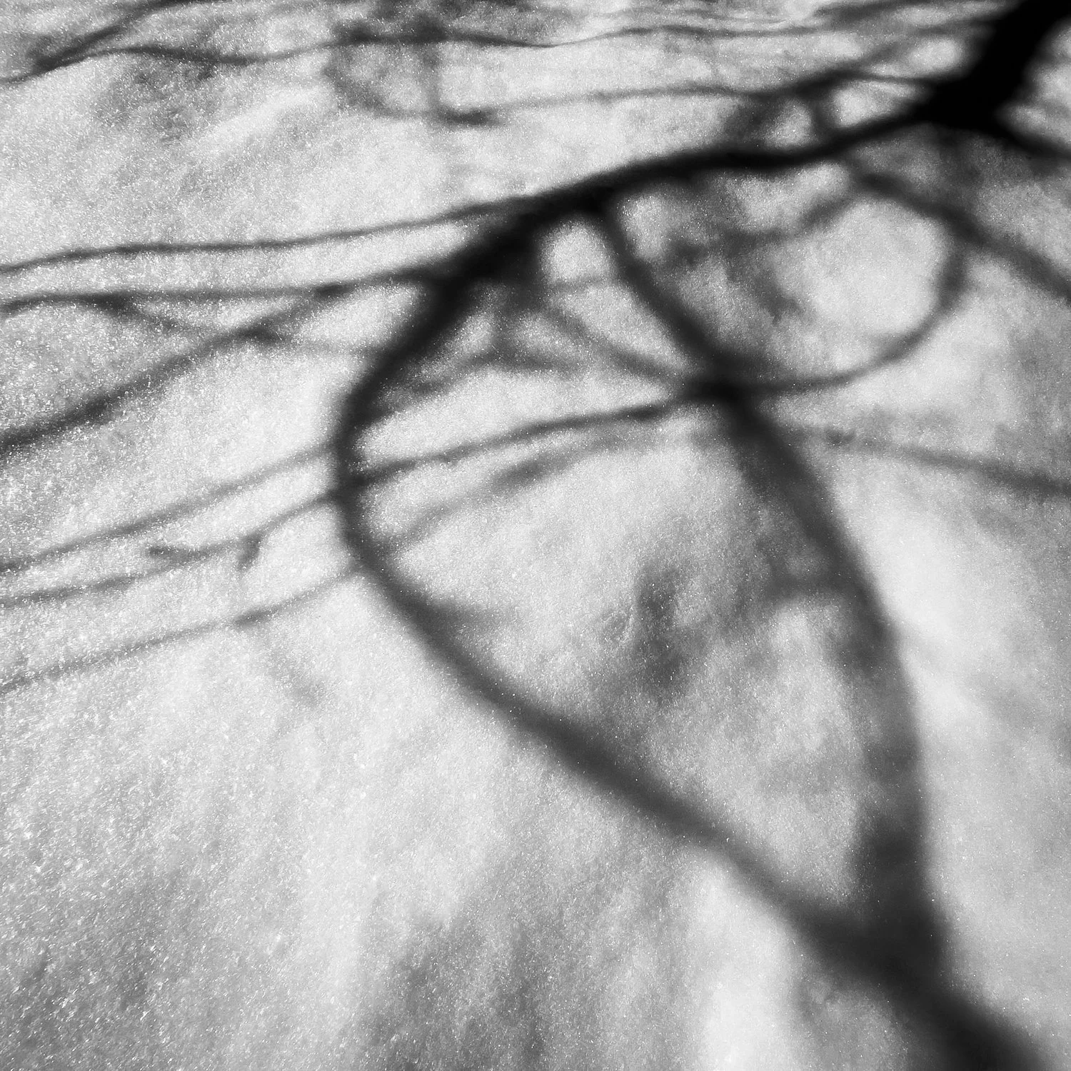 Creative February 2023 -- Week 1