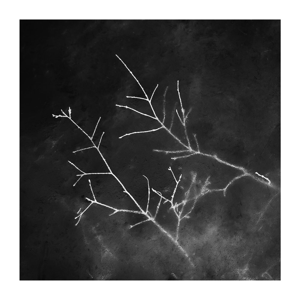 02350A41-970D-4762-B87B-64F571FA015C_1_102_o.jpeg
