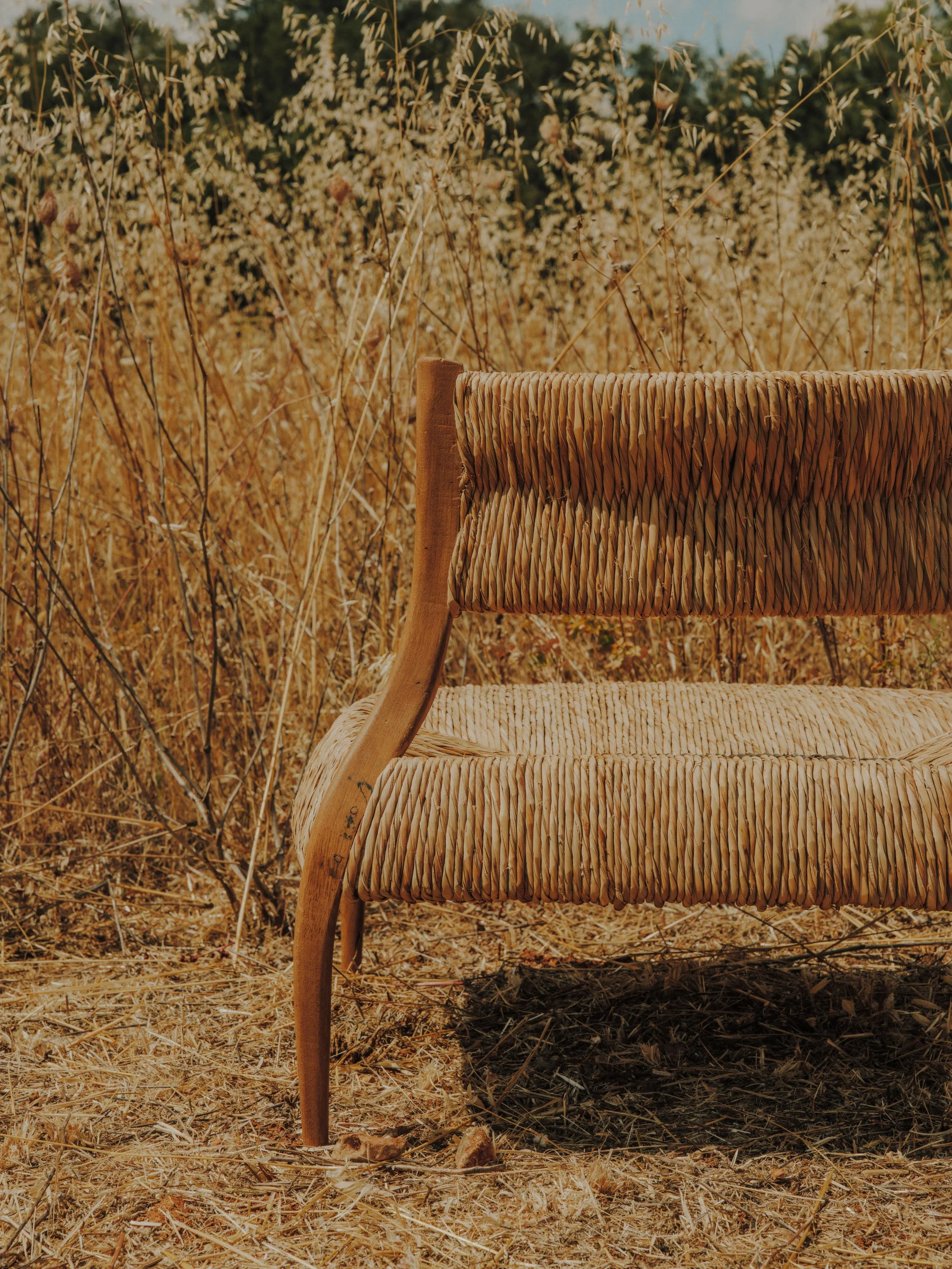 salvalopez_terracollhome_cattailseats_058.jpg