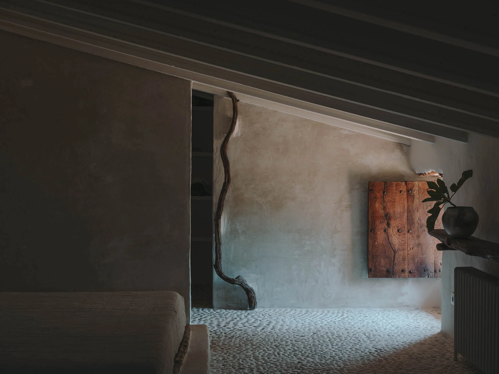 terra coll home 1.jpg