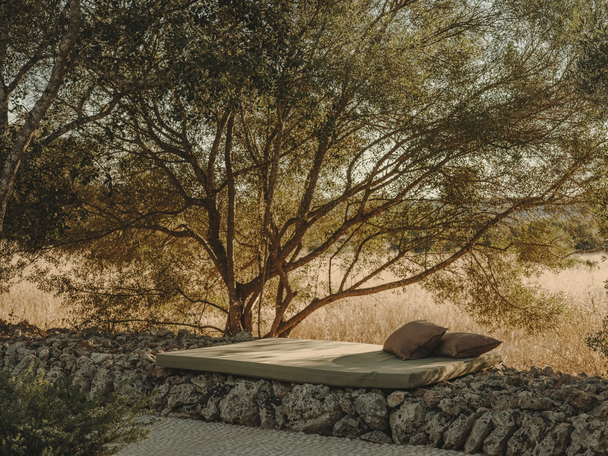terra coll home 3.jpg