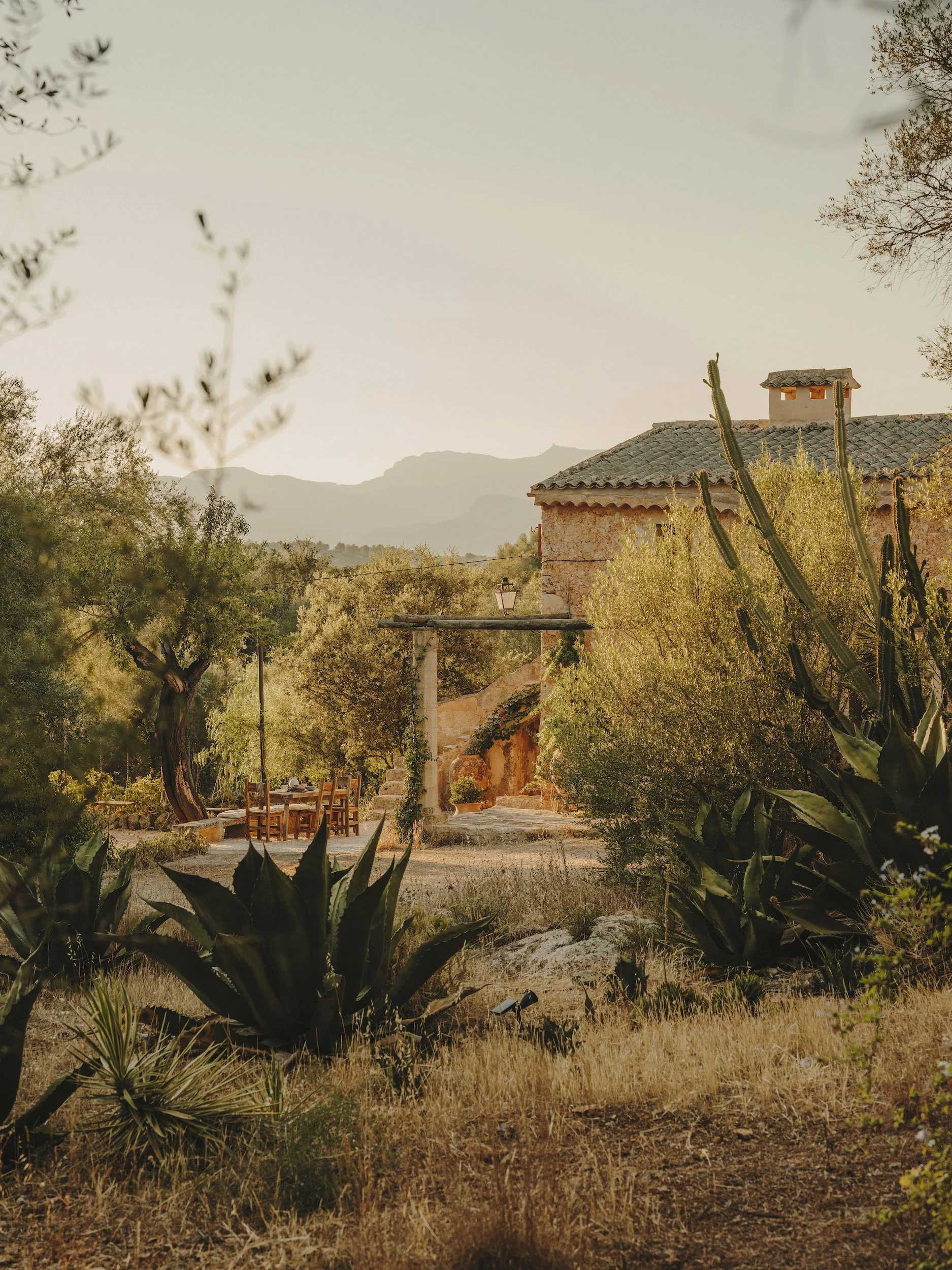  terra coll home salva lopez mallorca deia.jpg