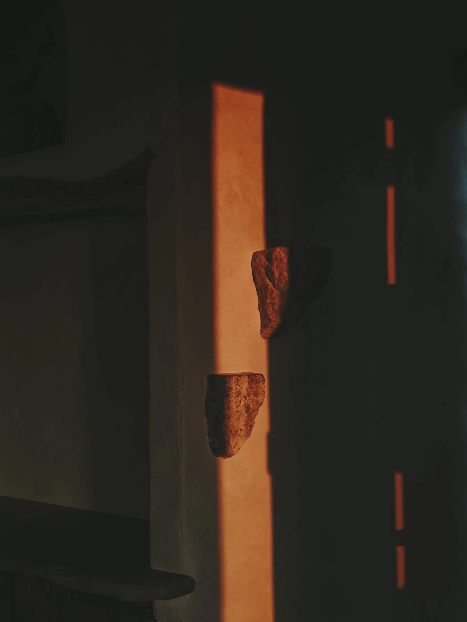 salvalopez_terracollhome_olivar_318.jpg