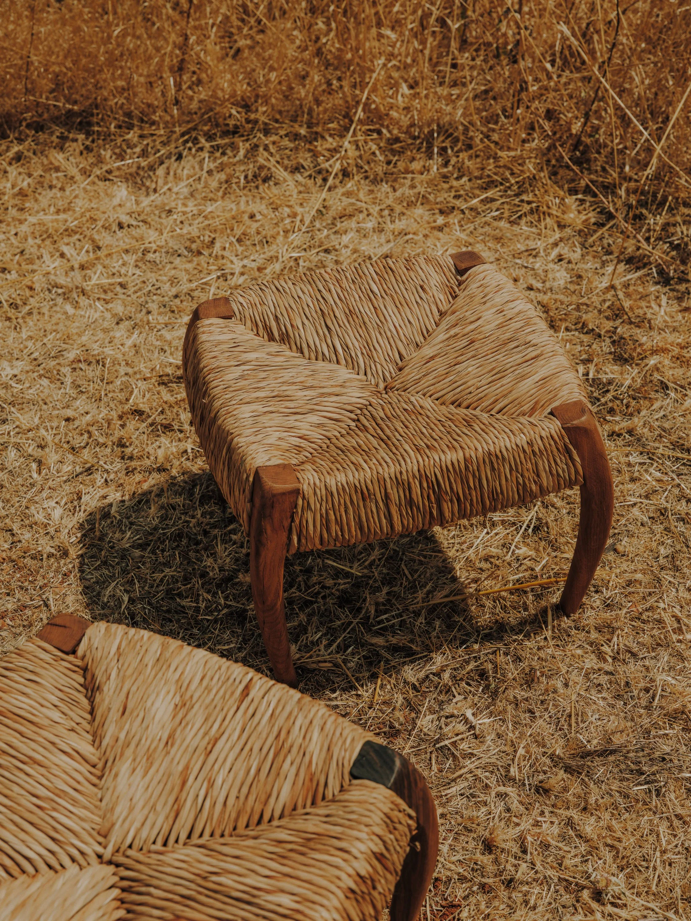 salvalopez_terracollhome_cattailseats_052.jpg