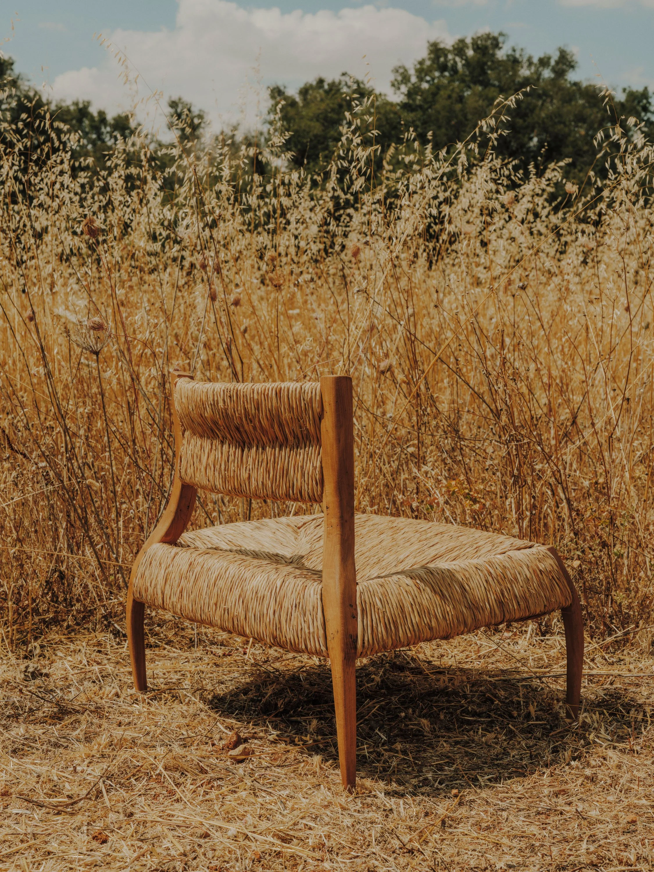 salvalopez_terracollhome_cattailseats_056.jpg
