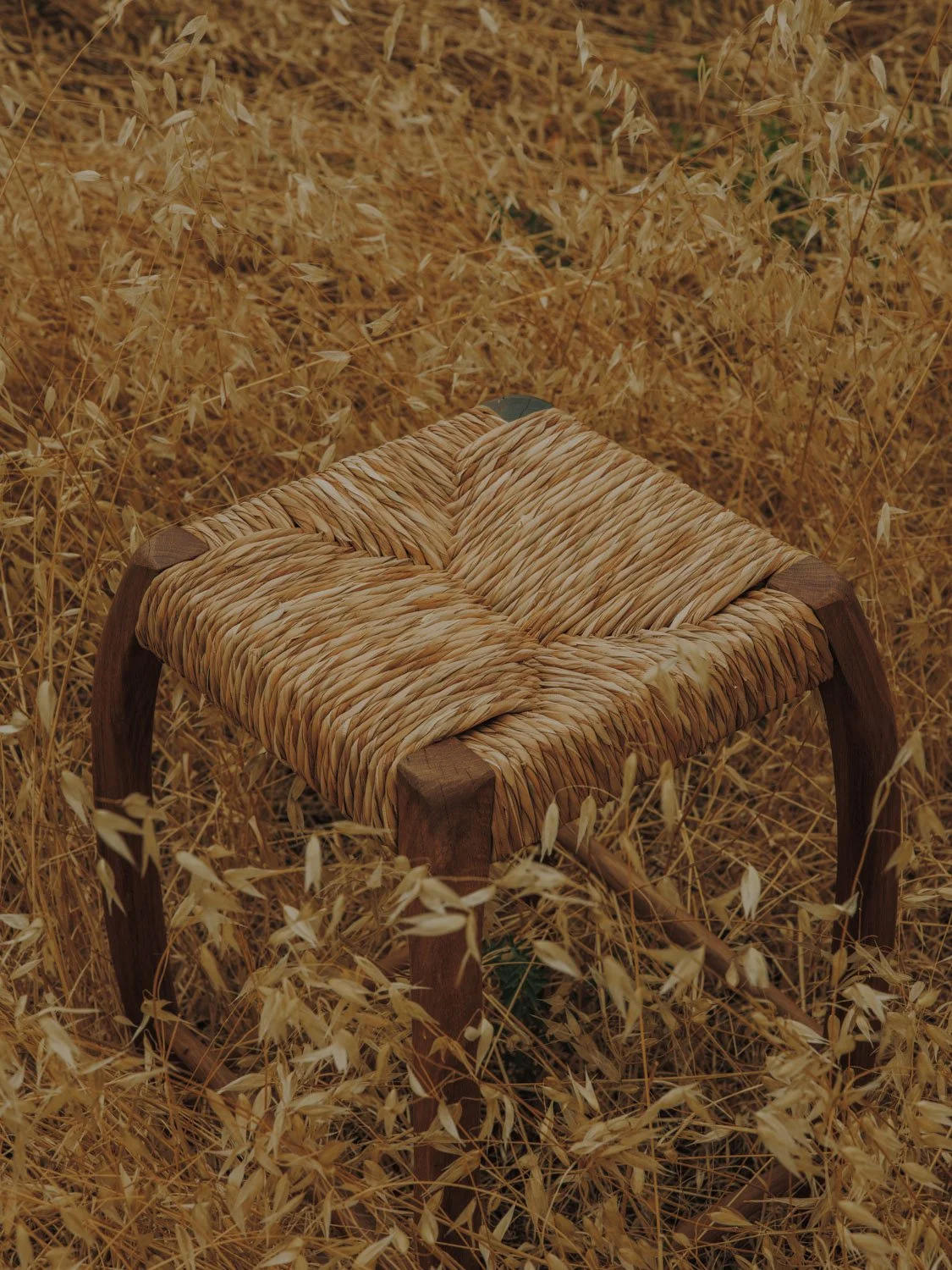 salvalopez_terracollhome_cattailseats_043.jpg