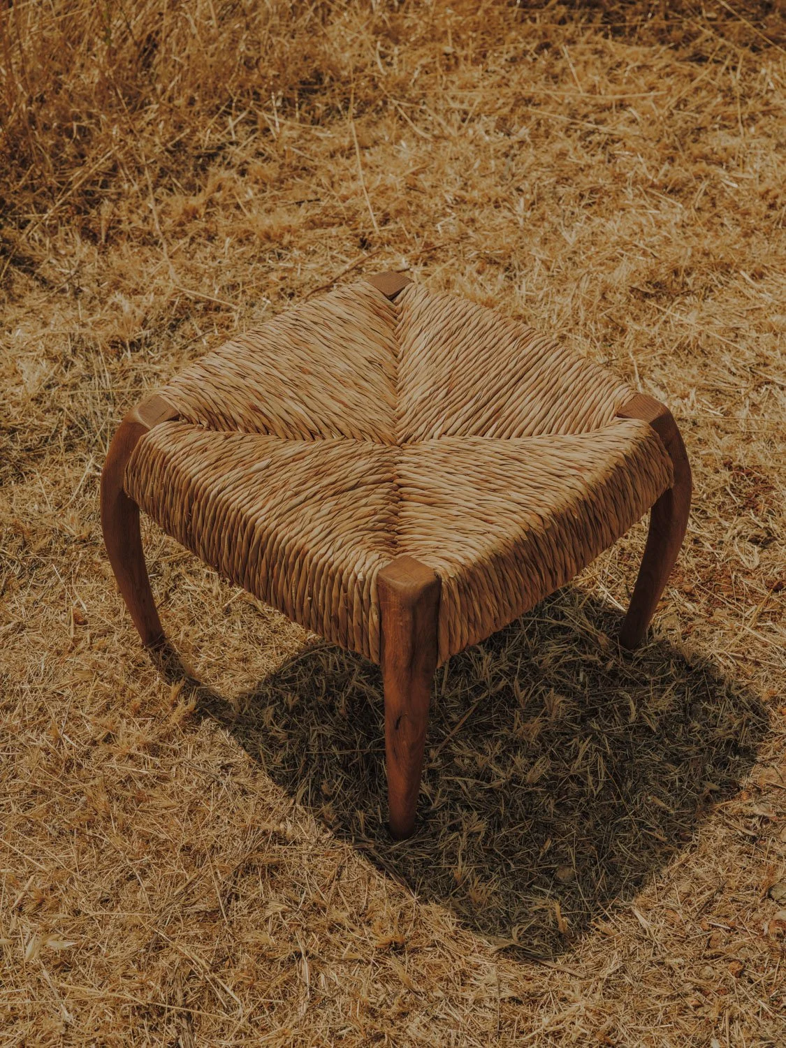 salvalopez_terracollhome_cattailseats_021.jpg