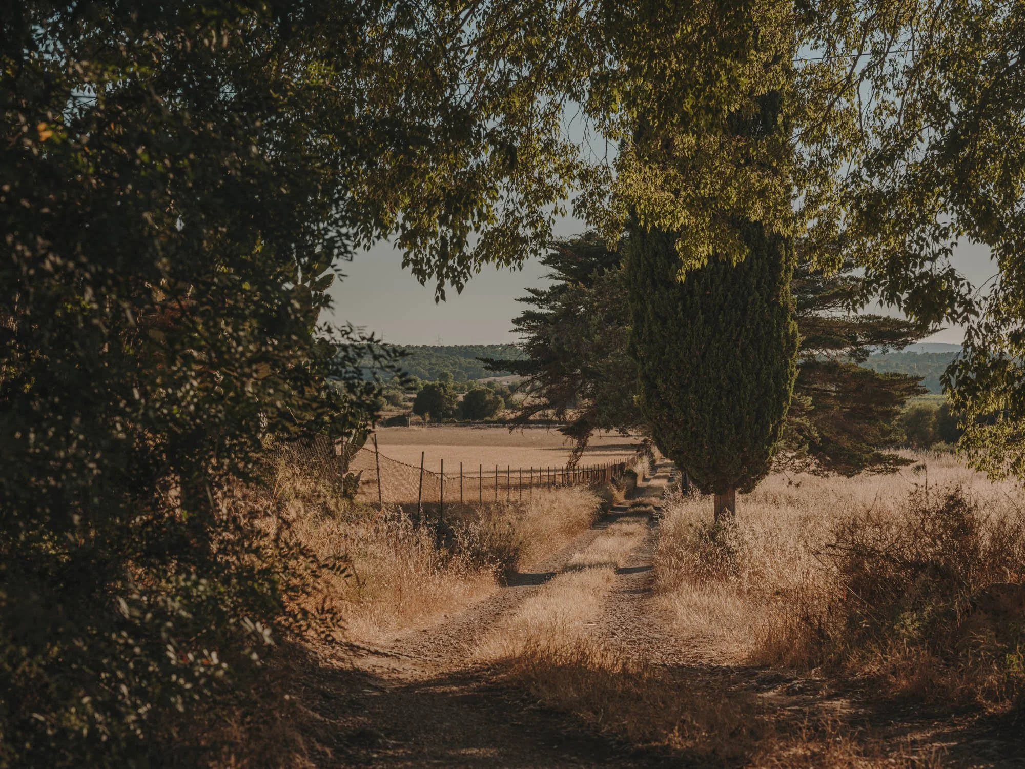  terra coll home salva lopez mallorca deia.jpg