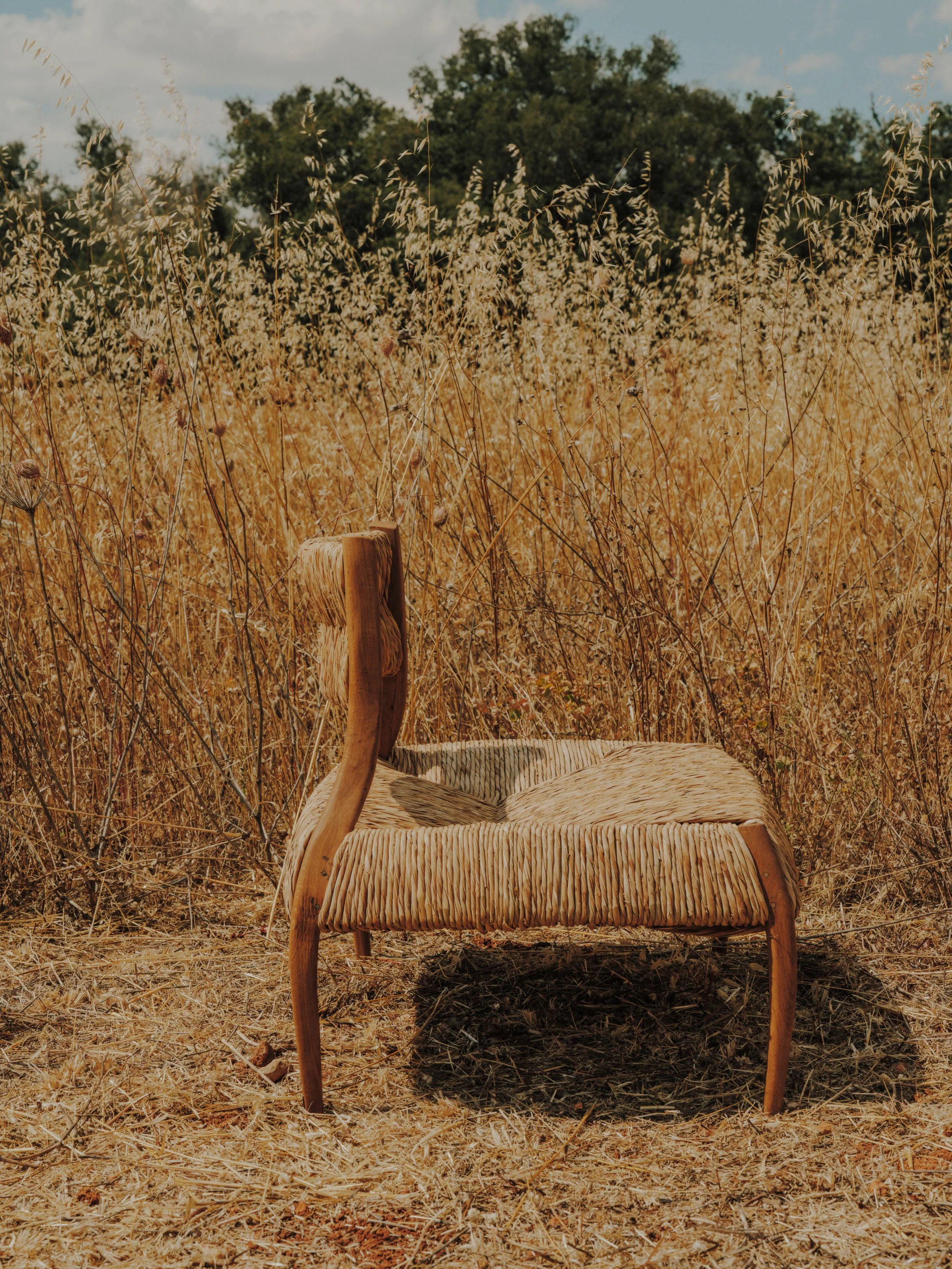 salvalopez_terracollhome_cattailseats_055.jpg