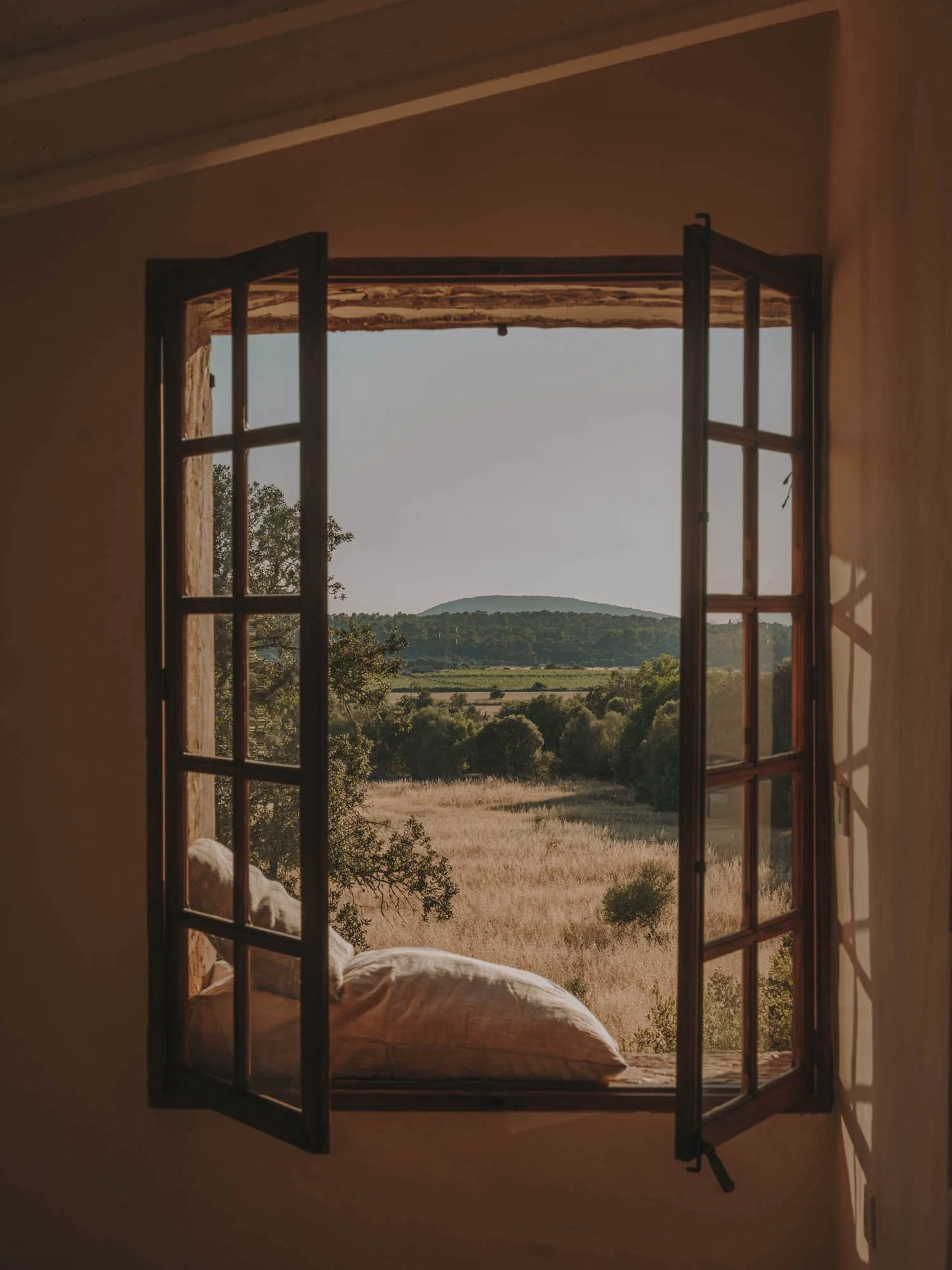 terra coll home, Salva López, mallorca.jpg