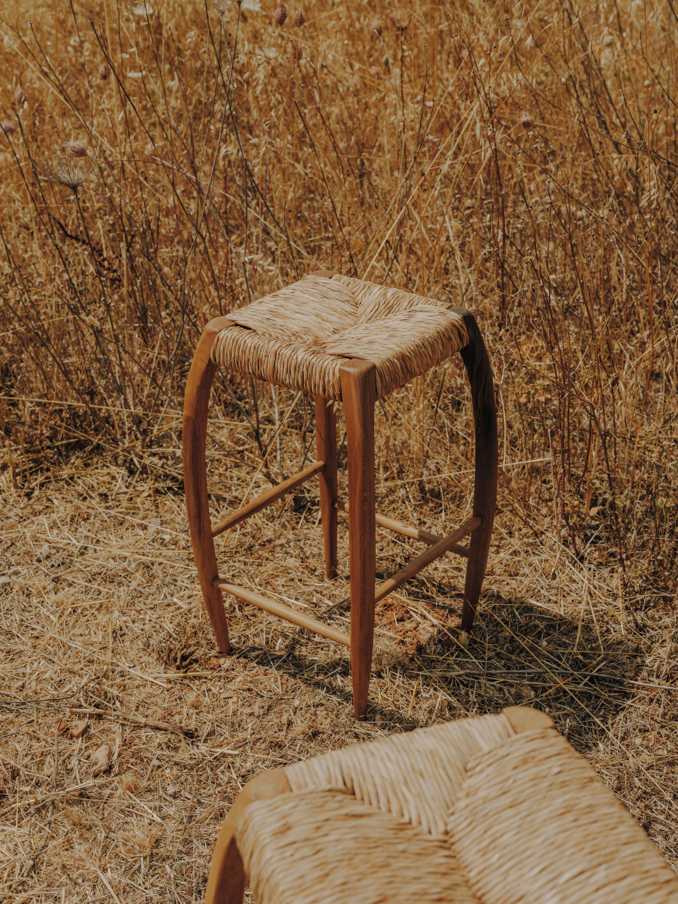salvalopez_terracollhome_cattailseats_028.jpg
