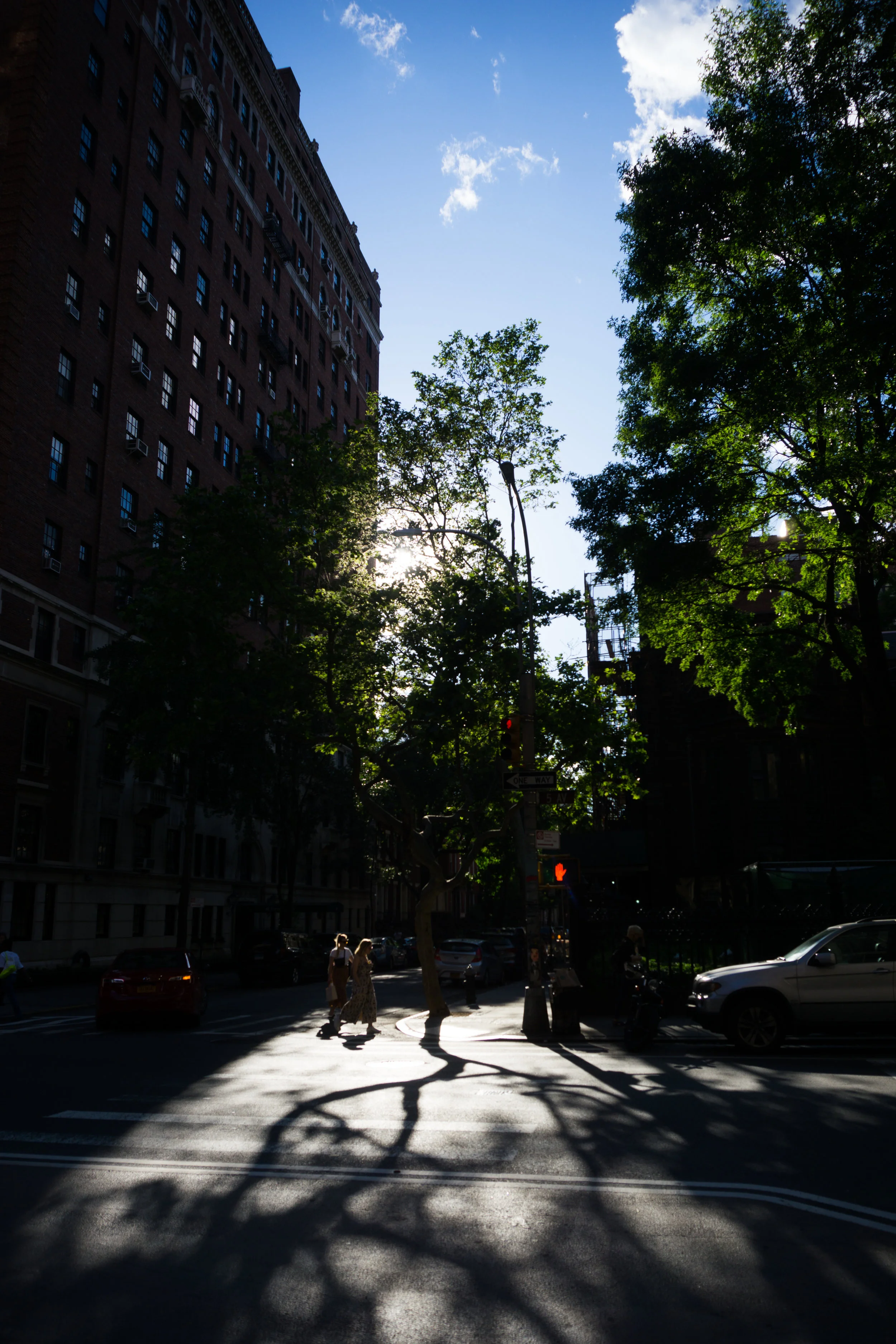 DSC00768.jpg