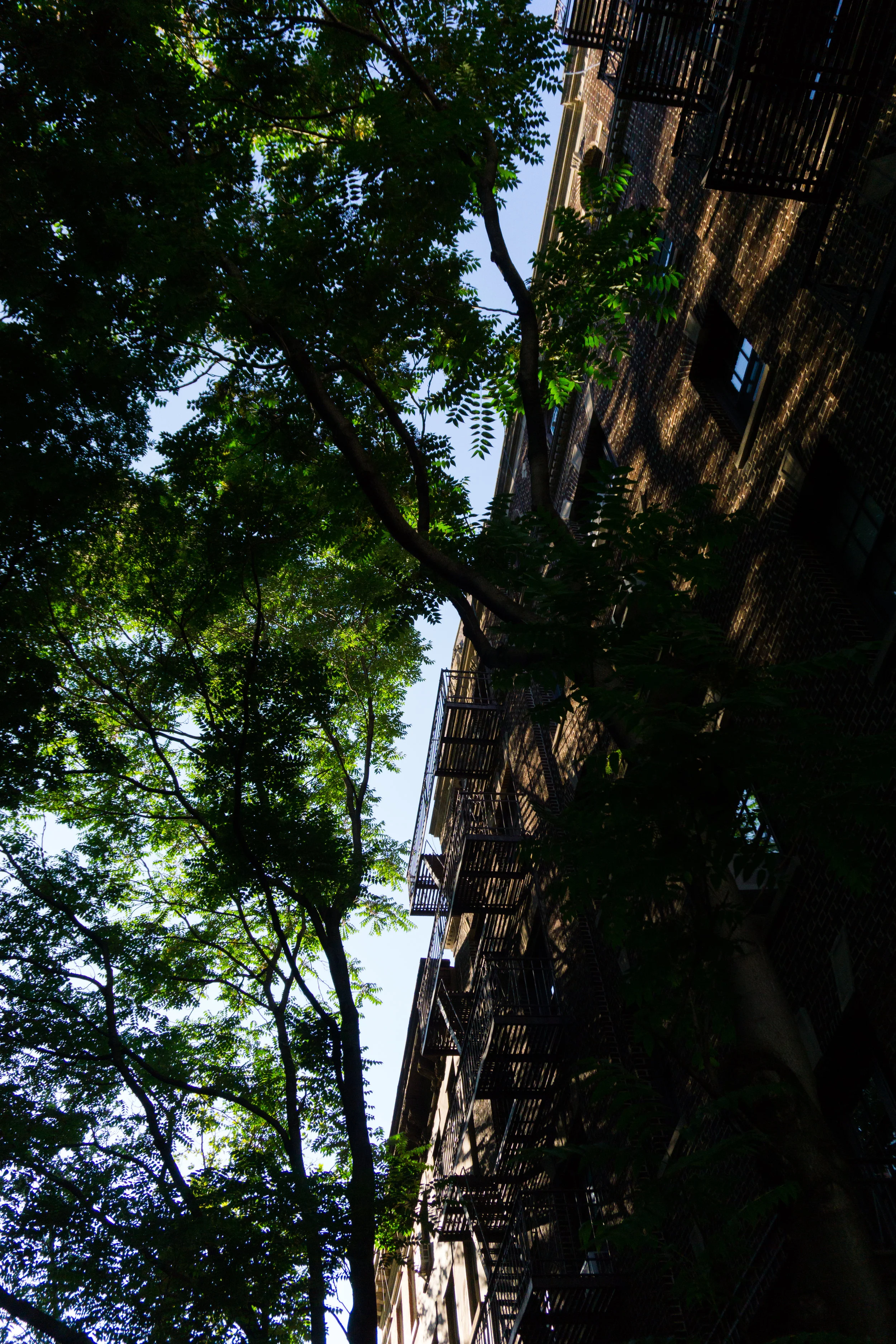 DSC07592.jpg