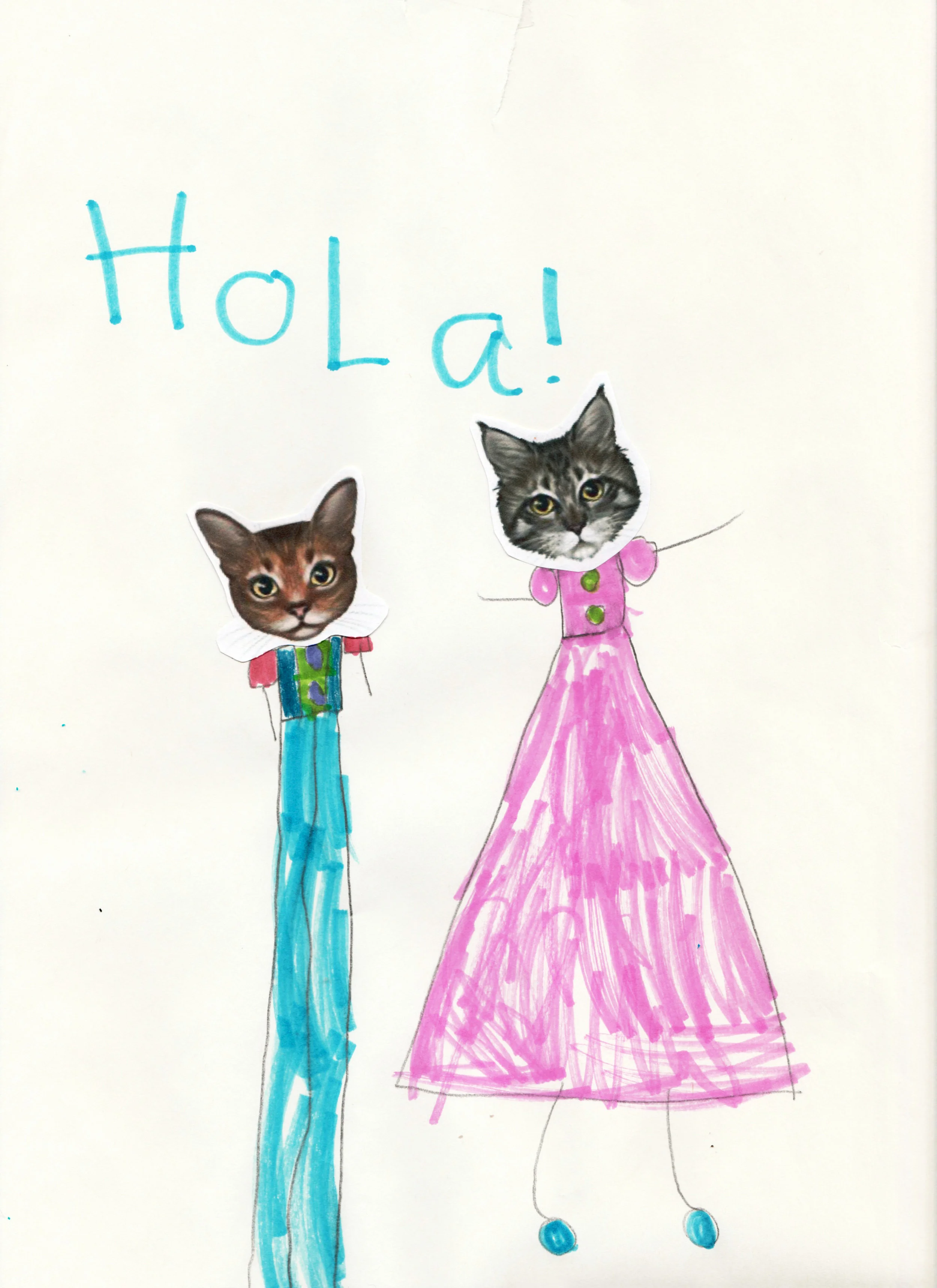 Hola Cats!.jpeg