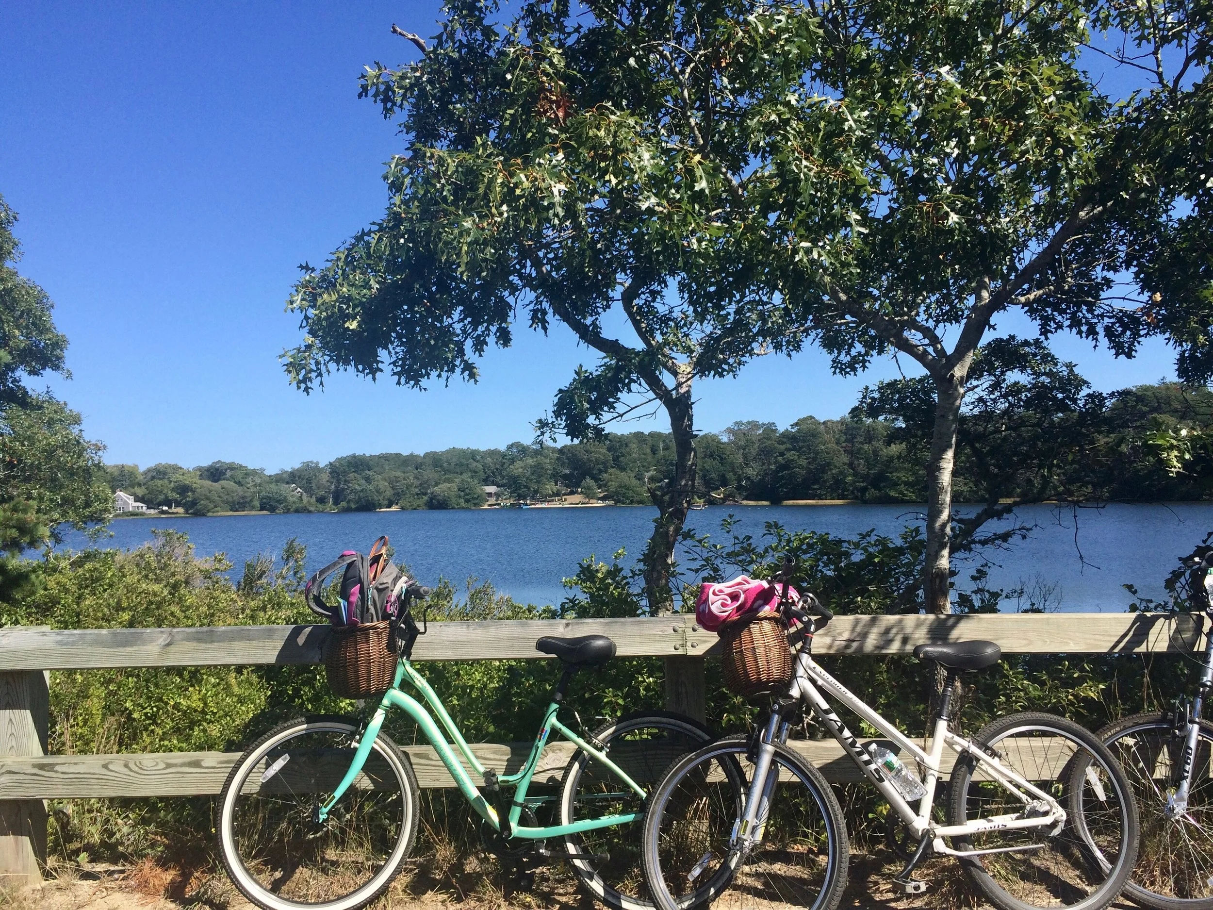 Bikes.jpeg