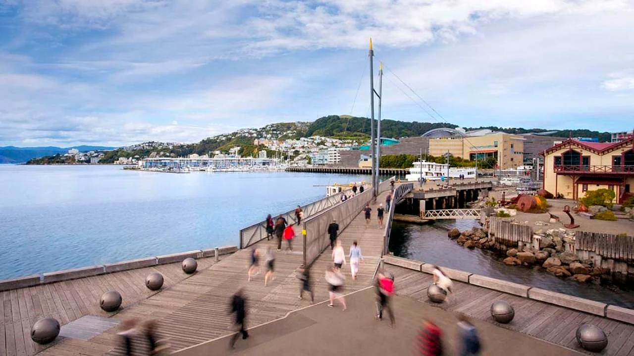 Top Things to do in Wellington — New Zealand Education Group
