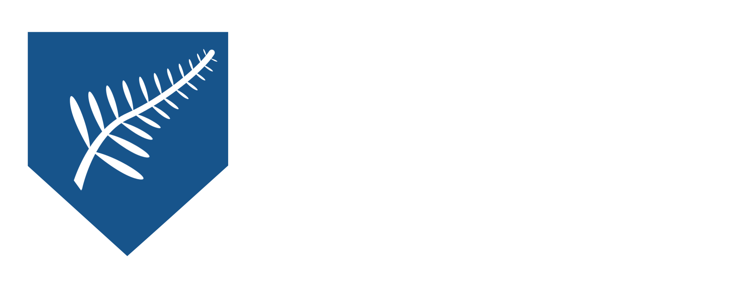 New Zealand Education Group - University &amp; Course Consultants
