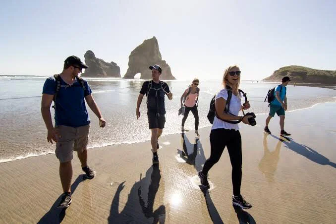 study tourism courses nz.jpg