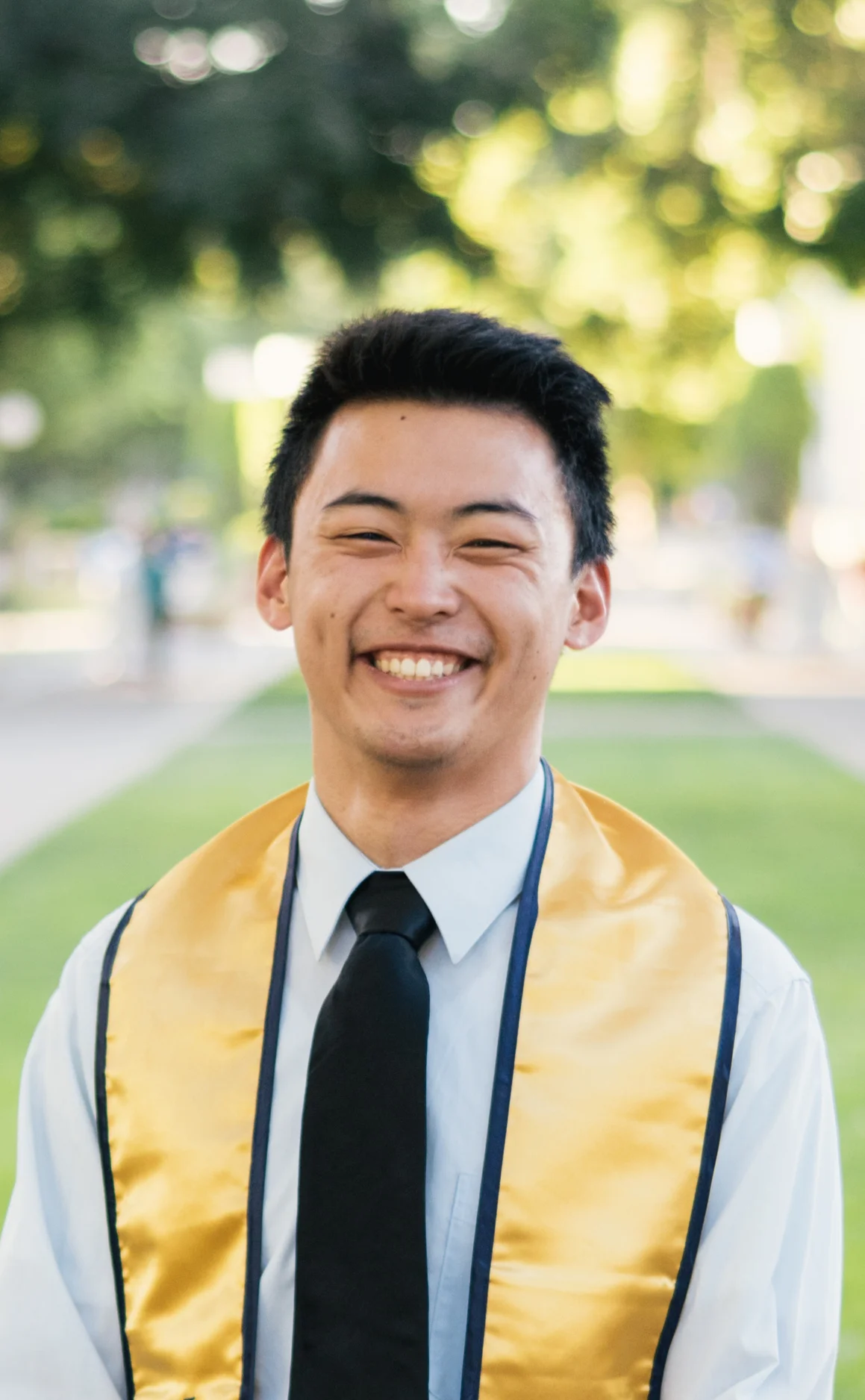 Albert Lee Overall coordinator