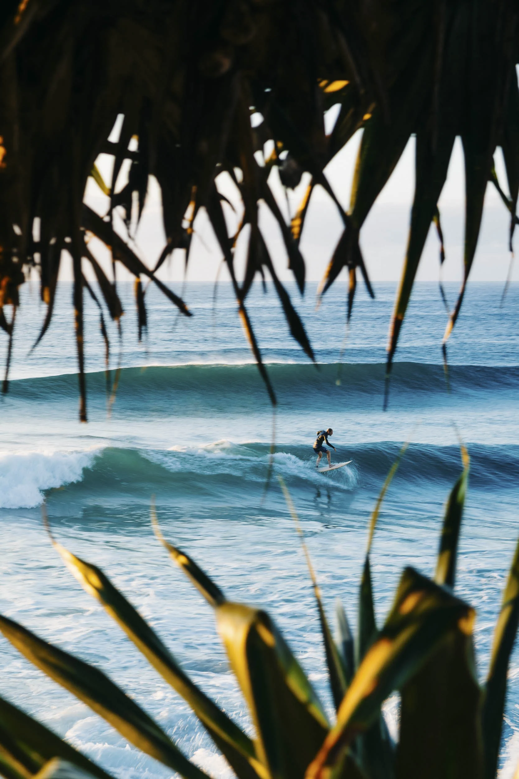 kallelundholm_surf_035.jpg