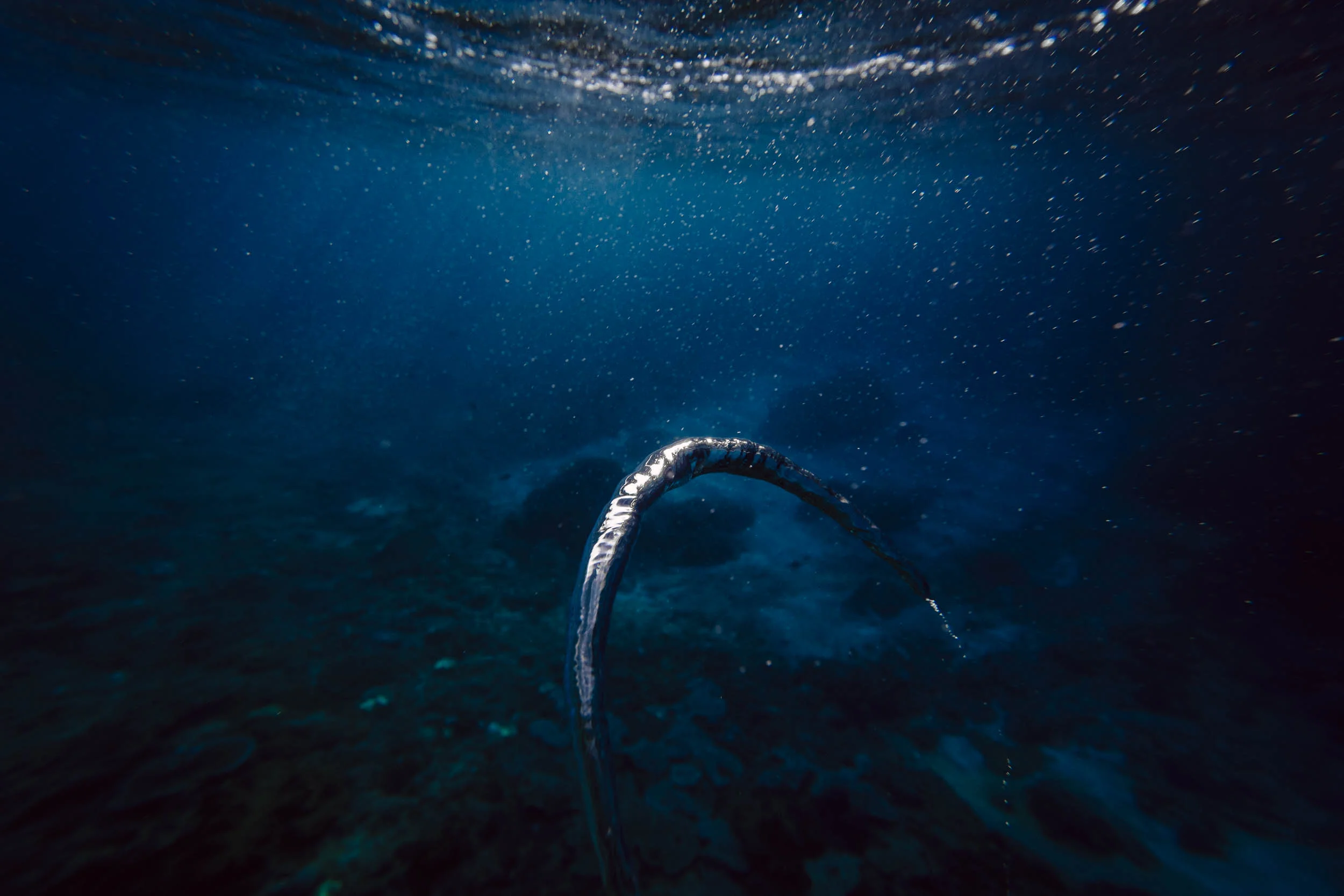 Lembongan_Snorkel_170920-215_squarespace.jpg