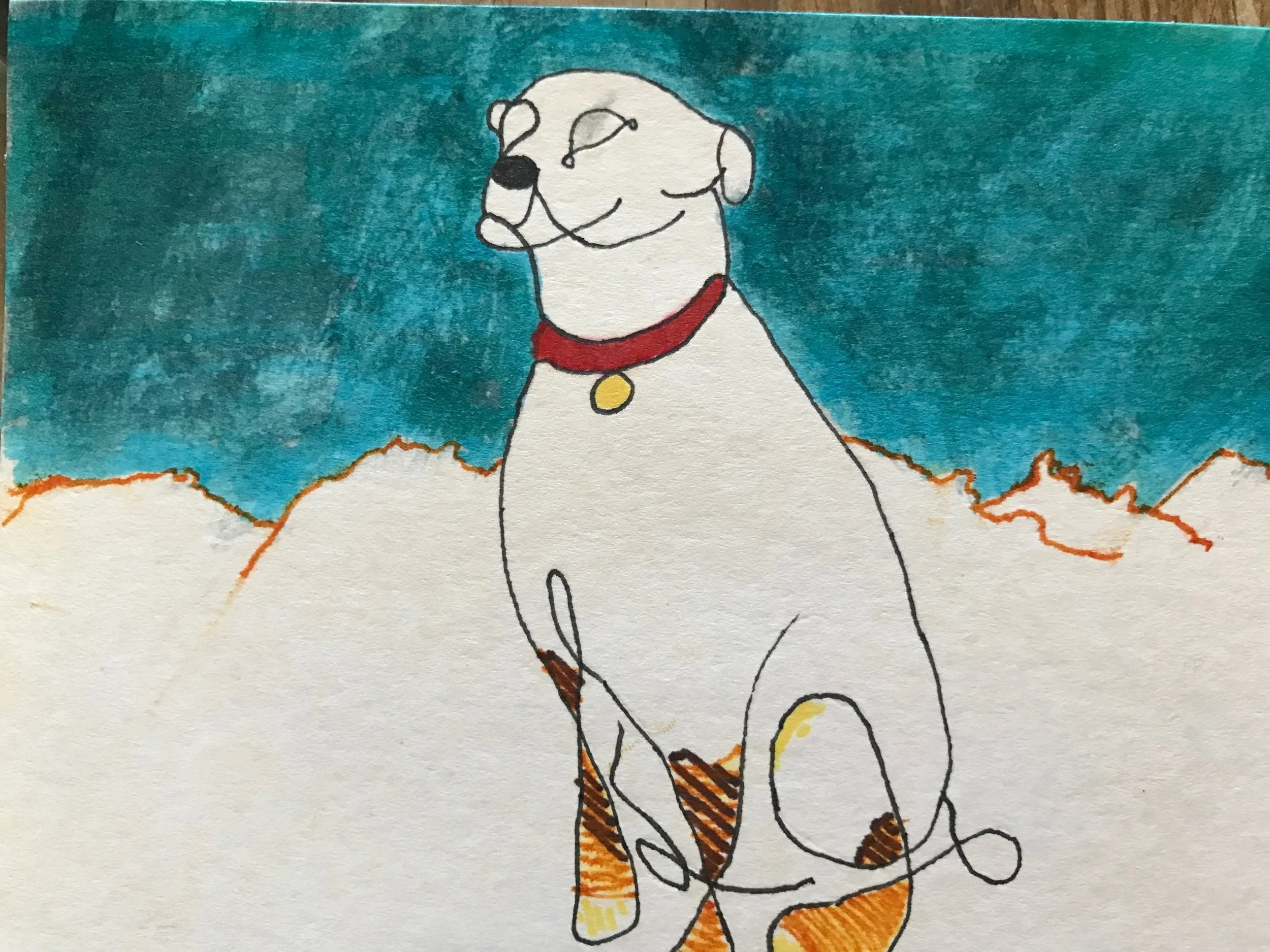 Gracie.JPG