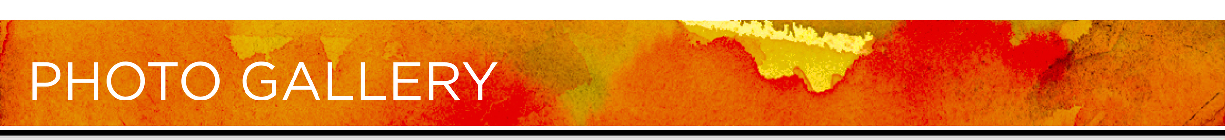 Photo Gallery.png