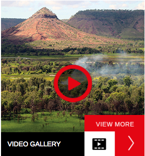 Video Gallery.png