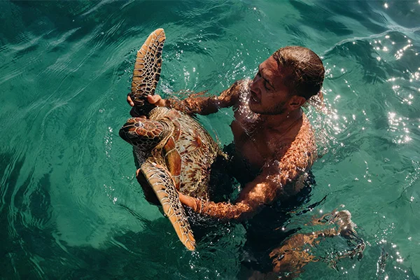 TURTLE.jpg