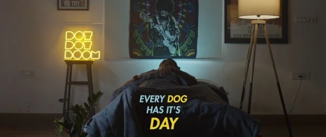 Every dog had its day