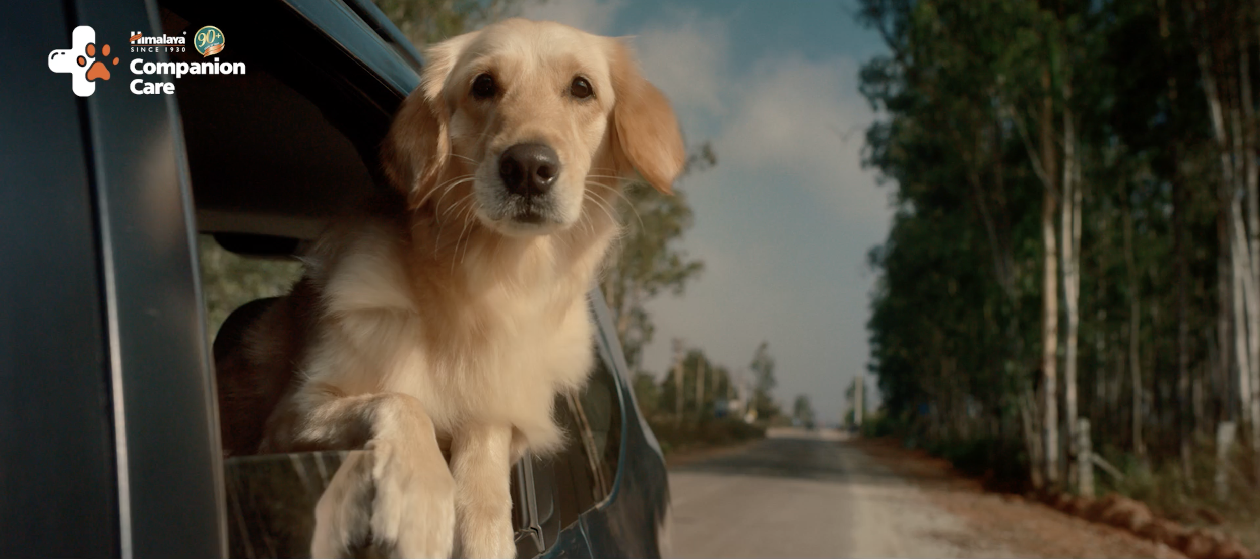 Himalaya Pet Care