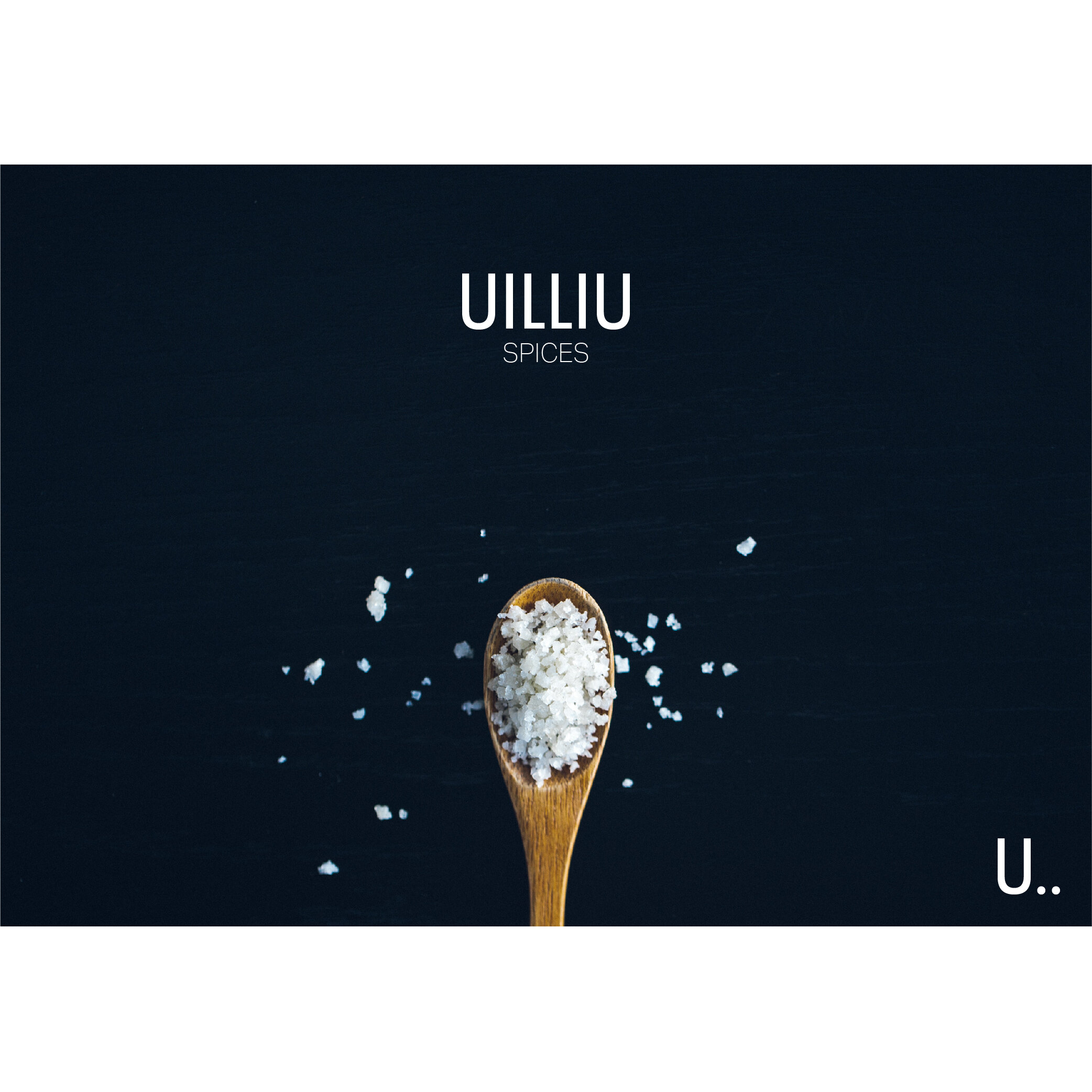 uilliu logo draft 1 example.jpg