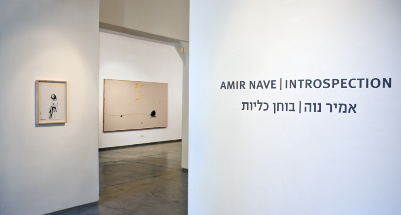 Introspection, Sommer Contemporary, 2016, Tel Aviv