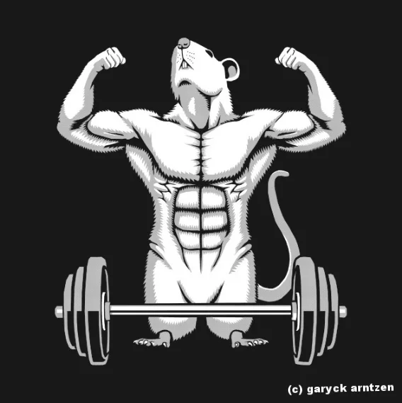 Gym Rat