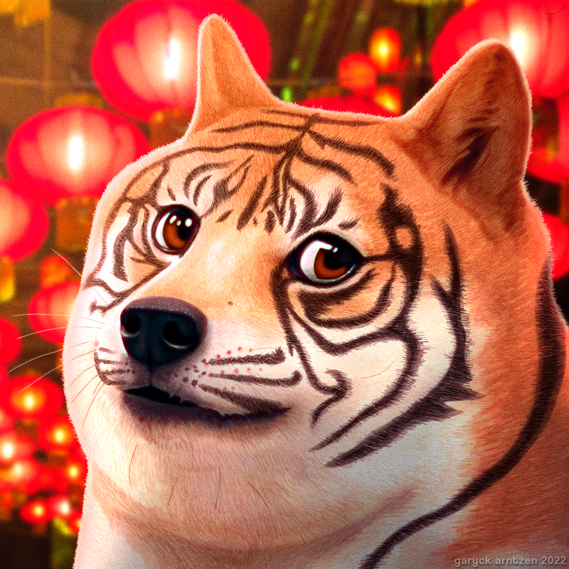 Year of the Tiger Doge