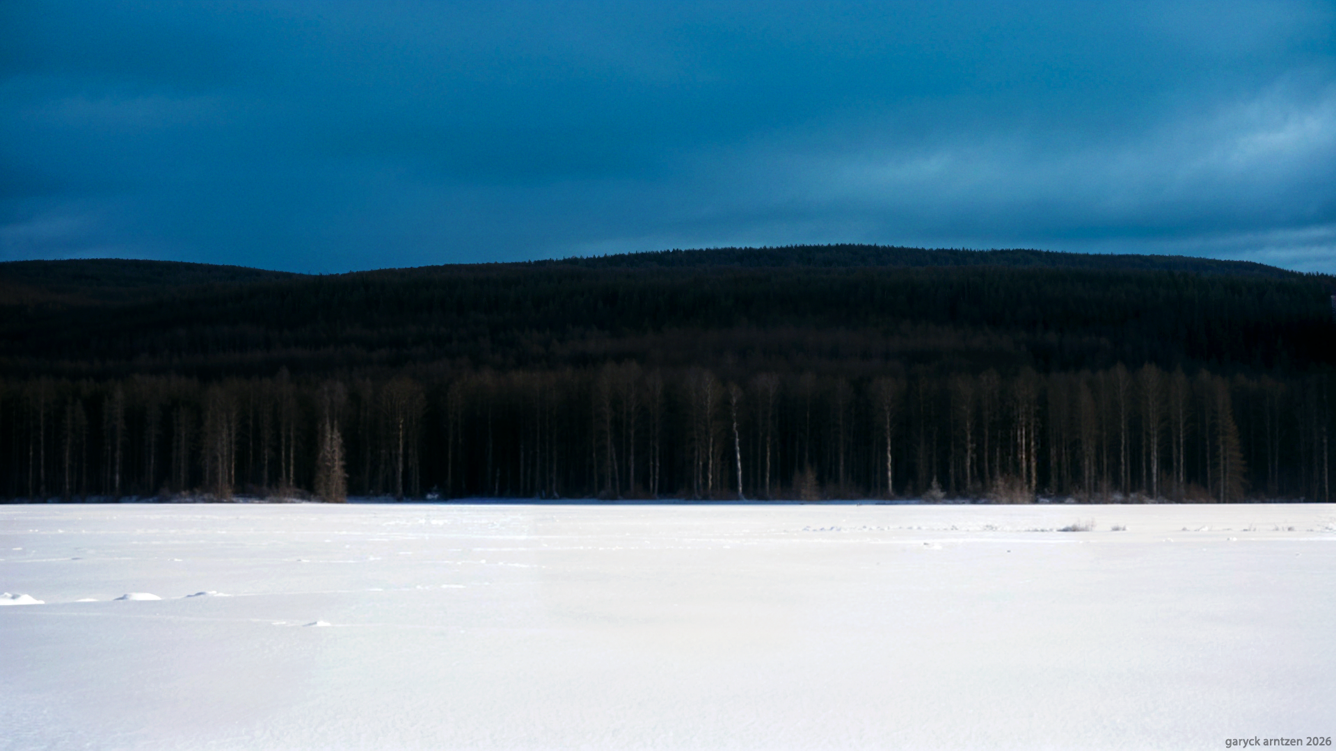 Estonian Winter Flag