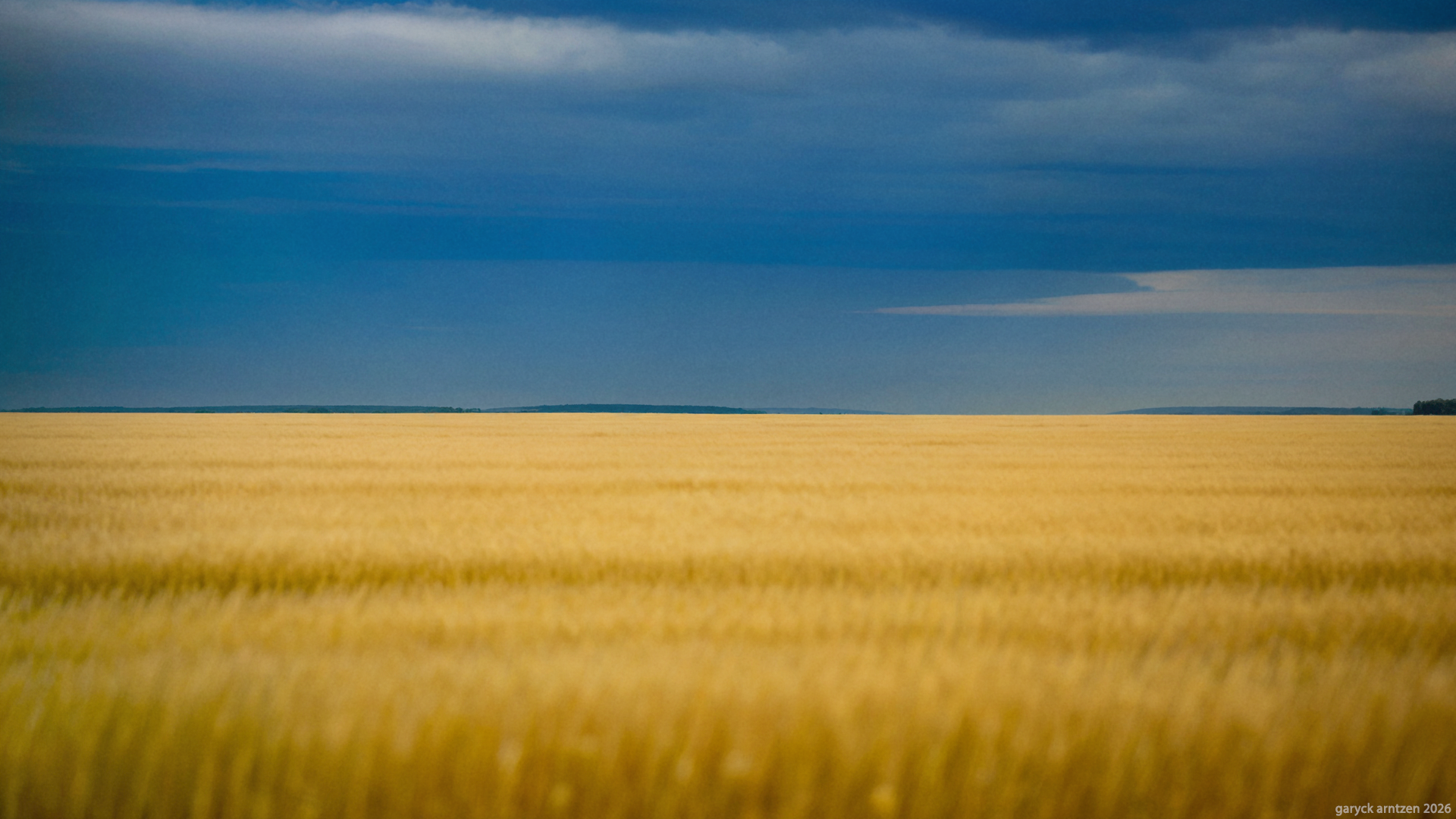 Ukraine Wheat Field Flag