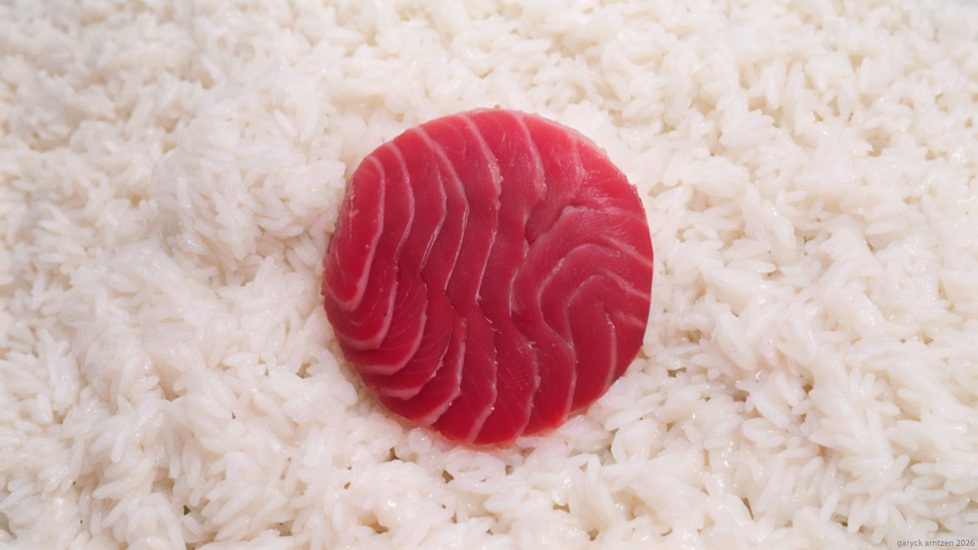 Japanese Sushi Flag