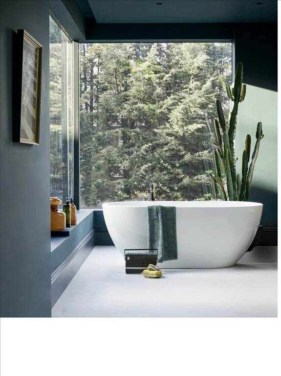 Clearwater_Petite-small Waterloo Bathrooms Dublin.jpg