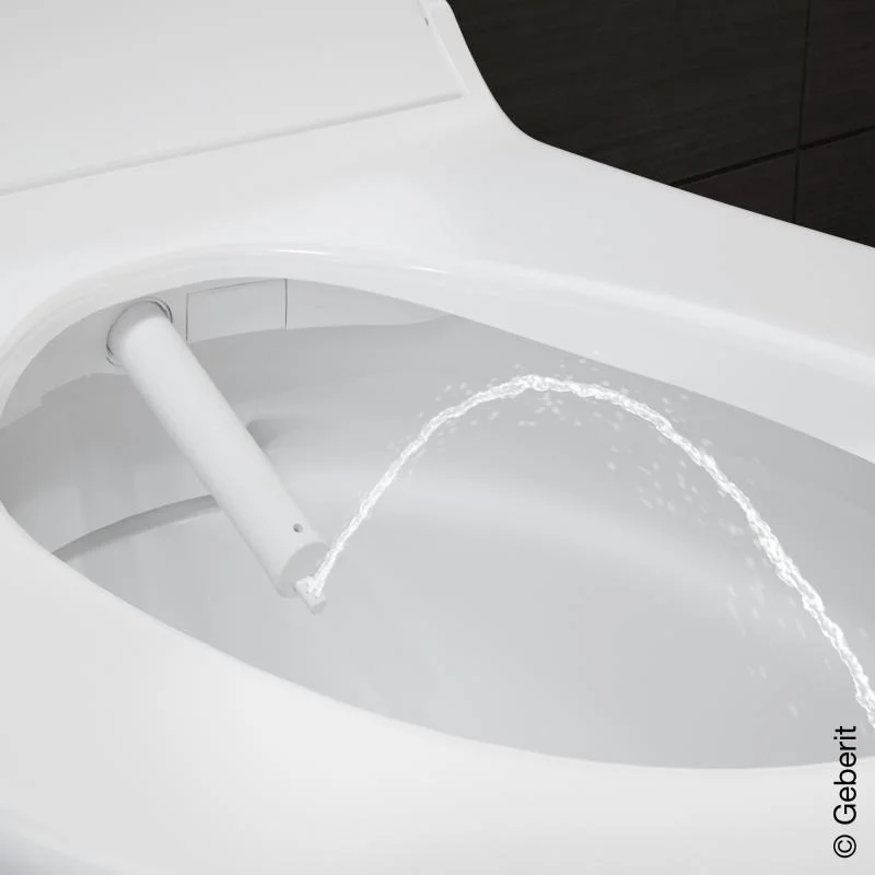 Geberit AquaClean Tuma Comfort Shower Toilet Waterloo Bathrooms Dublin 5.jpg