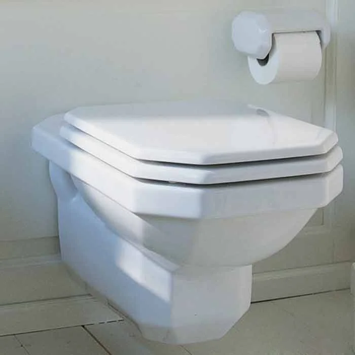 Duravit 1930's Wall Mounted Toilet 018209 Waterloo Bathrooms Dublin 4.jpg