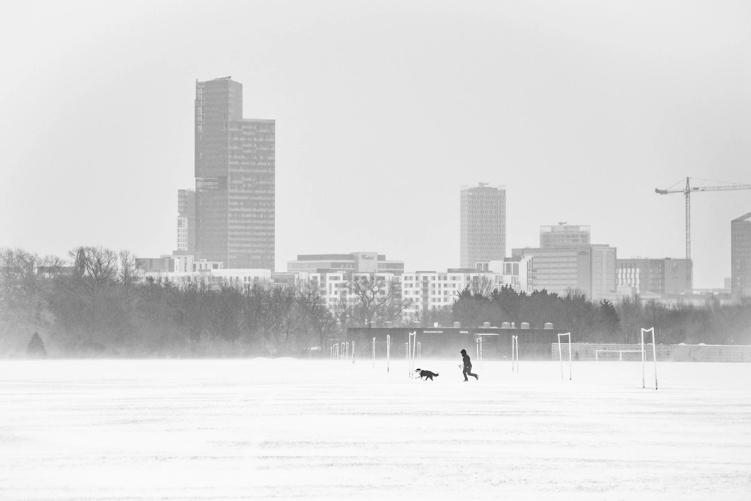 DSC_0501.jpg