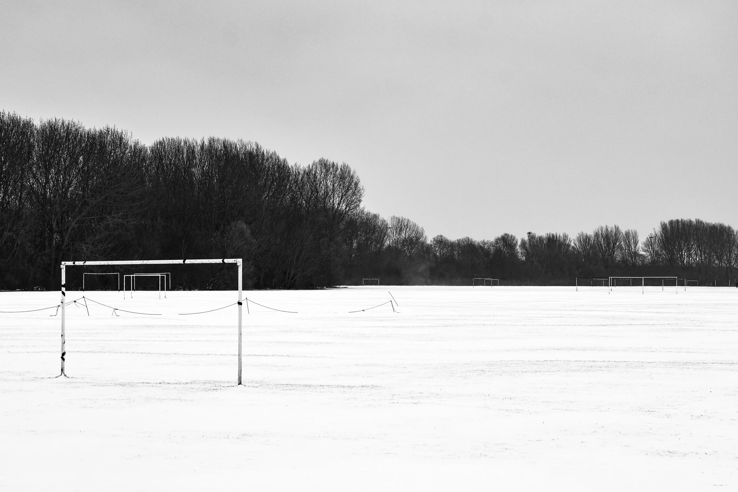DSC_0453-2.jpg