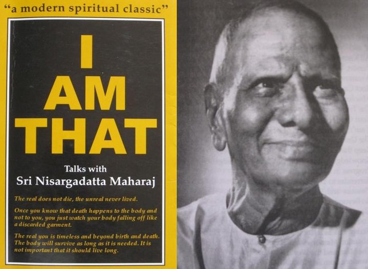I Am That — Insight Chicago Meditation Community