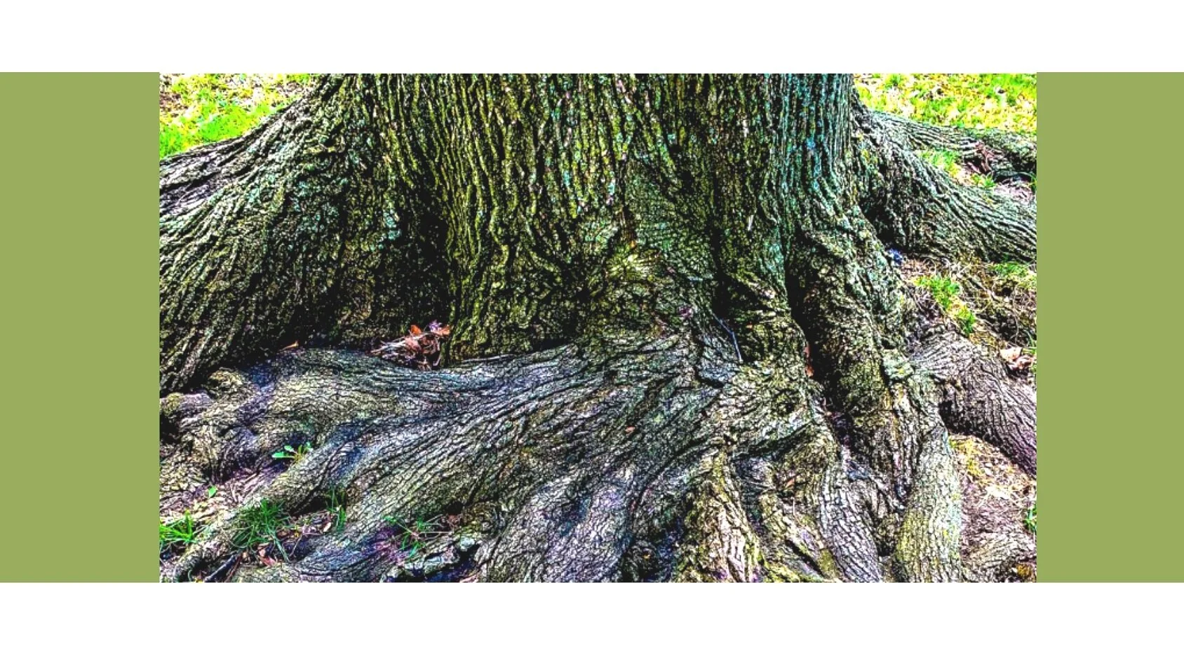 Uncertainty: It's Not So Bad — an online Thaypassana Retreat