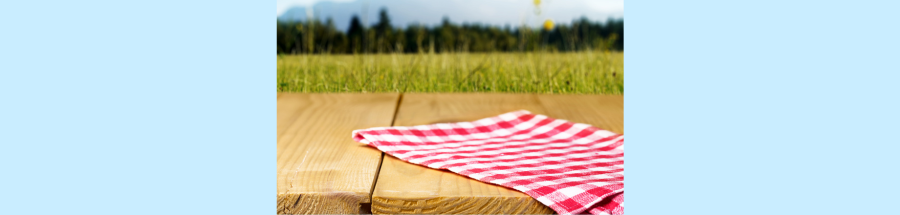 Sangha-Wide Picnic