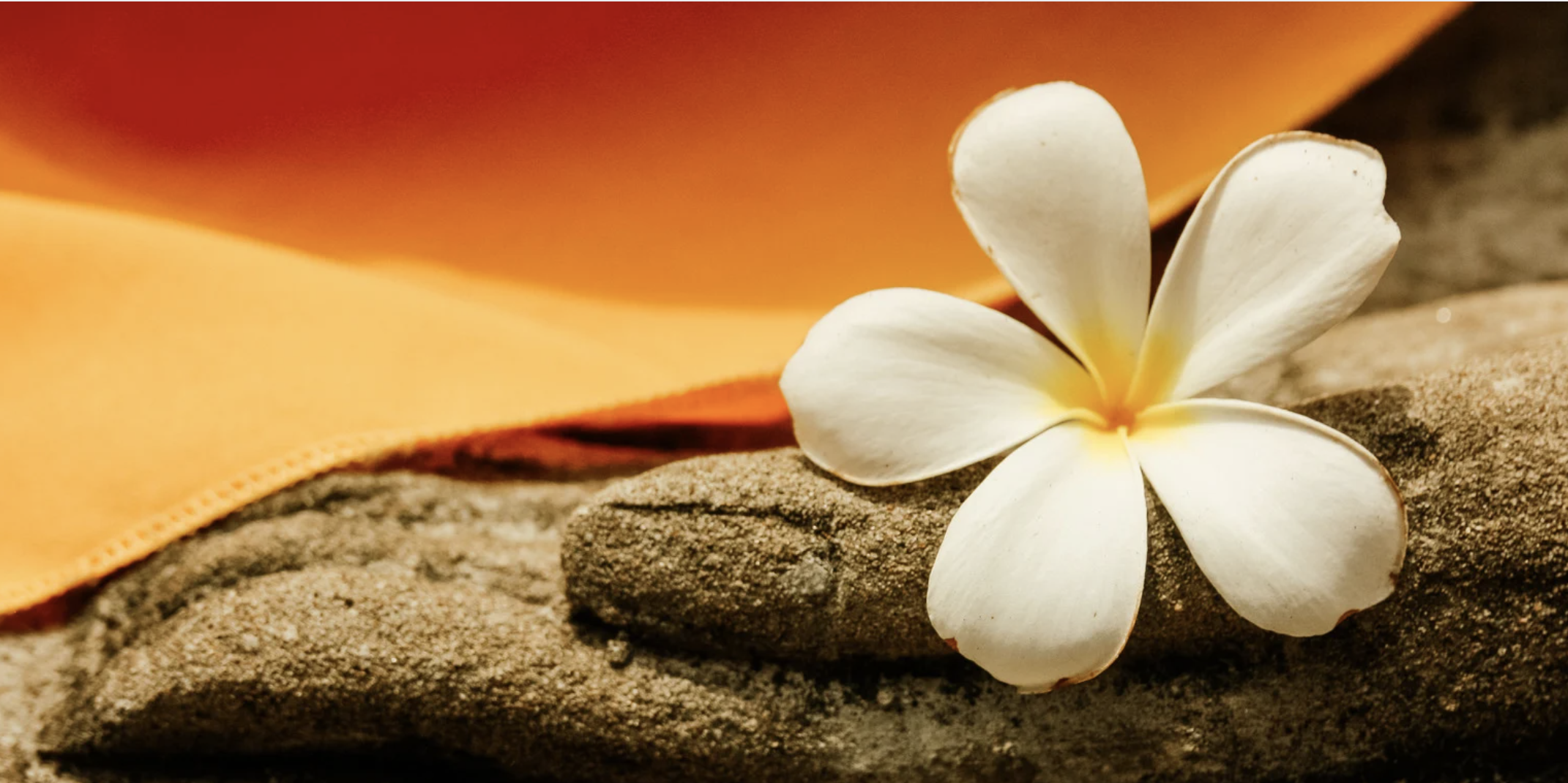 Kindness - Residential Retreat with Santikaro