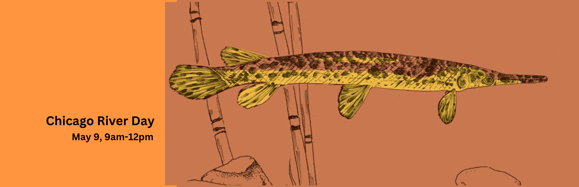 Community Service Event - Chicago River Day