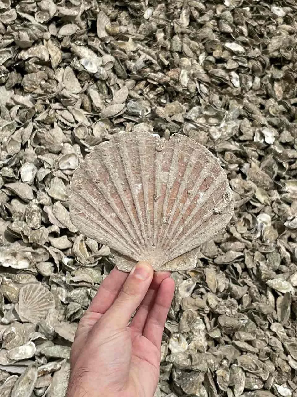 ER par Eugène Riconneaus, la nouvelle vague de baskets conçues à partir de déchets marins